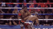 toprank fight boxing fighting espn GIF