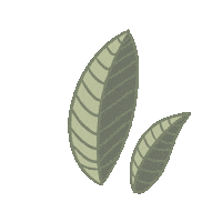 Elizabethalvite nature leaf leaves elizabethalvite Sticker