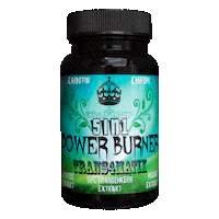 Trans4matix t4x trans4matix power burner Sticker