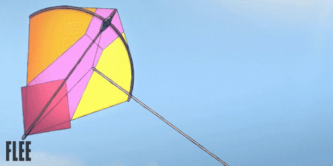 Kite Flee GIF by Madman Films