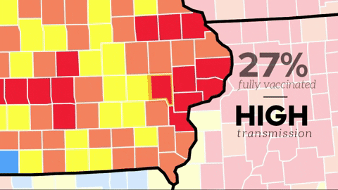 nickbergus giphyupload GIF