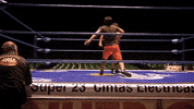 lucha libre mexico GIF