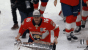 Stanley Cup Playoffs Win GIF by NHL