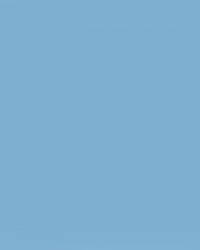 North Carolina Baseball GIF by UNC Tar Heels