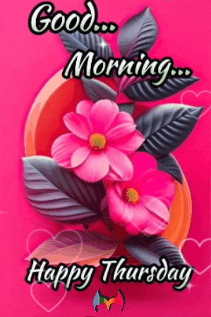 Happy Morning GIF by Murcianys LLC