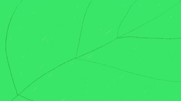 whatever you say worm GIF by julia farkas