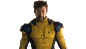 Hugh Jackman Marvel Sticker by Database數據