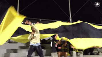 kayafc club flag cheer fans GIF
