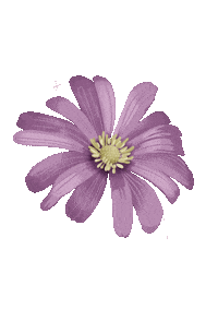 Flower Sticker