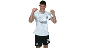 Celebration Goal Sticker by Eintracht Frankfurt