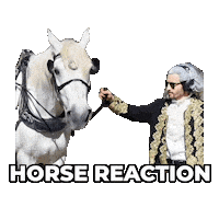 Horse Stallion Sticker