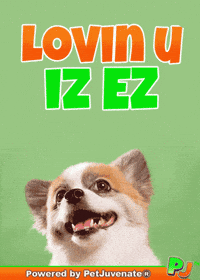 Dog Talk GIF by PetJuvenate - PJ