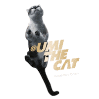 Licking Cat Food Sticker by Sheba Official