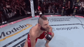 Mixed Martial Arts Sport GIF by UFC