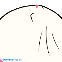 Do Not Disturb Cats Sticker by Silly Kitties