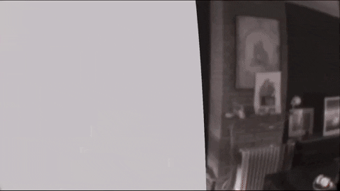 Vieze_Harrie giphyupload GIF