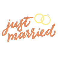 Just Married Celebration Sticker