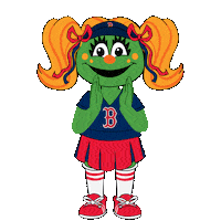 Red Sox Baseball Sticker by Boston Red Sox