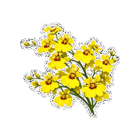 Beauty Venezuela Sticker by Fresa Creativa