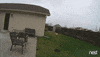 pacing golden retriever GIF by Nest