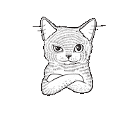WINZZ katze zwinkern weinschorle winzz Sticker