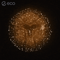 To The Moon Crypto GIF by Eco