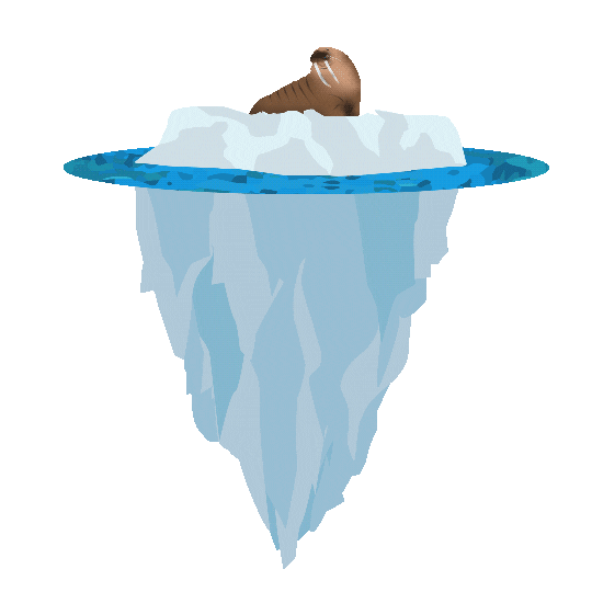 Marine Biology Water Sticker by OceanX