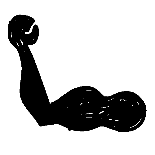 Workout Gym Sticker by Sasso Marconi FT LAB