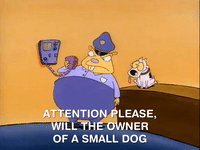 rockos modern life nicksplat GIF