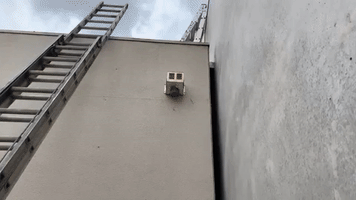 Rescuers Use Drill to Free Cat Trapped Between Two Factory Walls