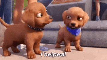 cyanganscaile giphyupload puppy help i helped GIF