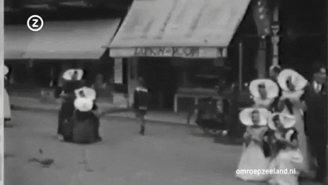 omroepzeeland giphygifmaker GIF