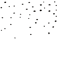 Snow Star Sticker