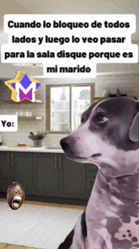 Humor Preocupada GIF by Murcianys LLC