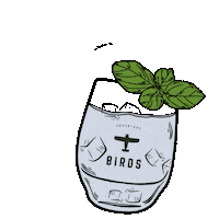 Summer Drink Sticker by Craft Circus - Flaschenpost Gin & BIRDS Dry Gin