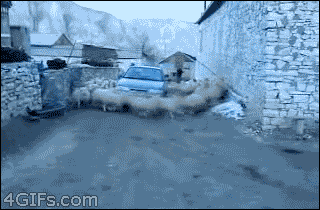 Car Circle GIF