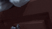 bunny plushie GIF by Zackary Rabbit