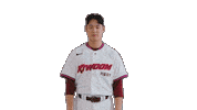 Kbo Sticker by Kiwoom Heroes Baseball Club