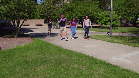 Friends College GIF by Western Illinois University