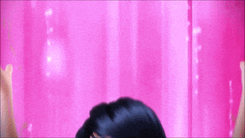 ladybug GIF