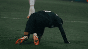 Stand Up Football GIF by SK Sturm Graz
