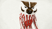 Wisconsin Badgers GIF by uwmadison
