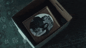 Oh My God Reaction GIF by Manchester Orchestra