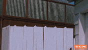 james dean GIF by Turner Classic Movies