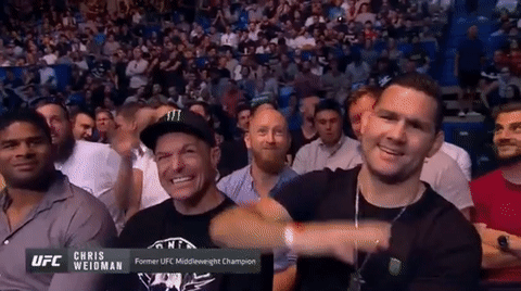 ufc 221 sport GIF by UFC