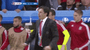euro 2016 GIF by Sporza