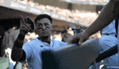 Detroit Tigers Baseball GIF by MLB