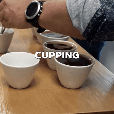 Cafemichel giphygifmaker GIF