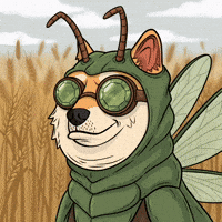 Shiba Inu Dog GIF by Doge Pound