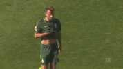 bundesliga werder GIF